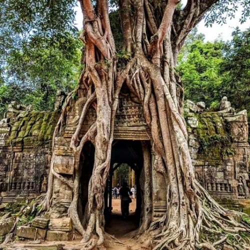 Angkor, Ta Som temple